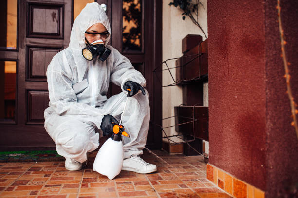 Reliable Ant Control contractor in Springville, UT by Nex Pest Control